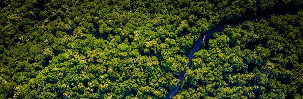 Yasuni National Park